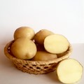 Семенной картофель от производителя